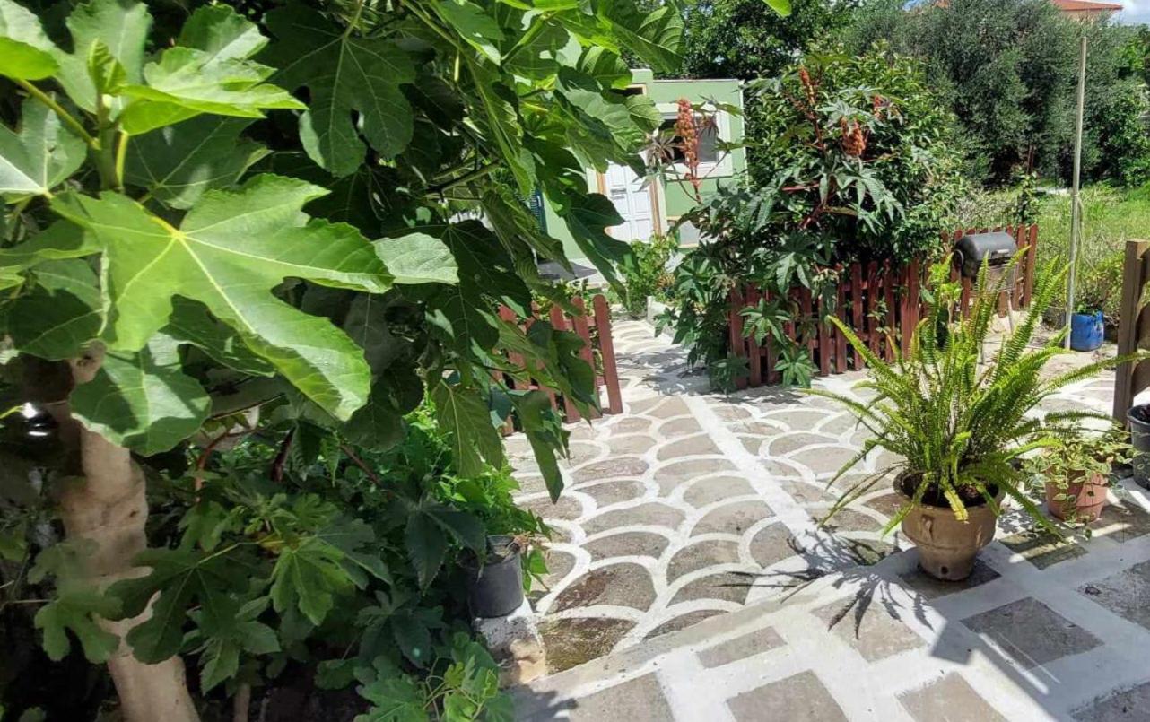 Afionas Das Gruene Haus المظهر الخارجي الصورة