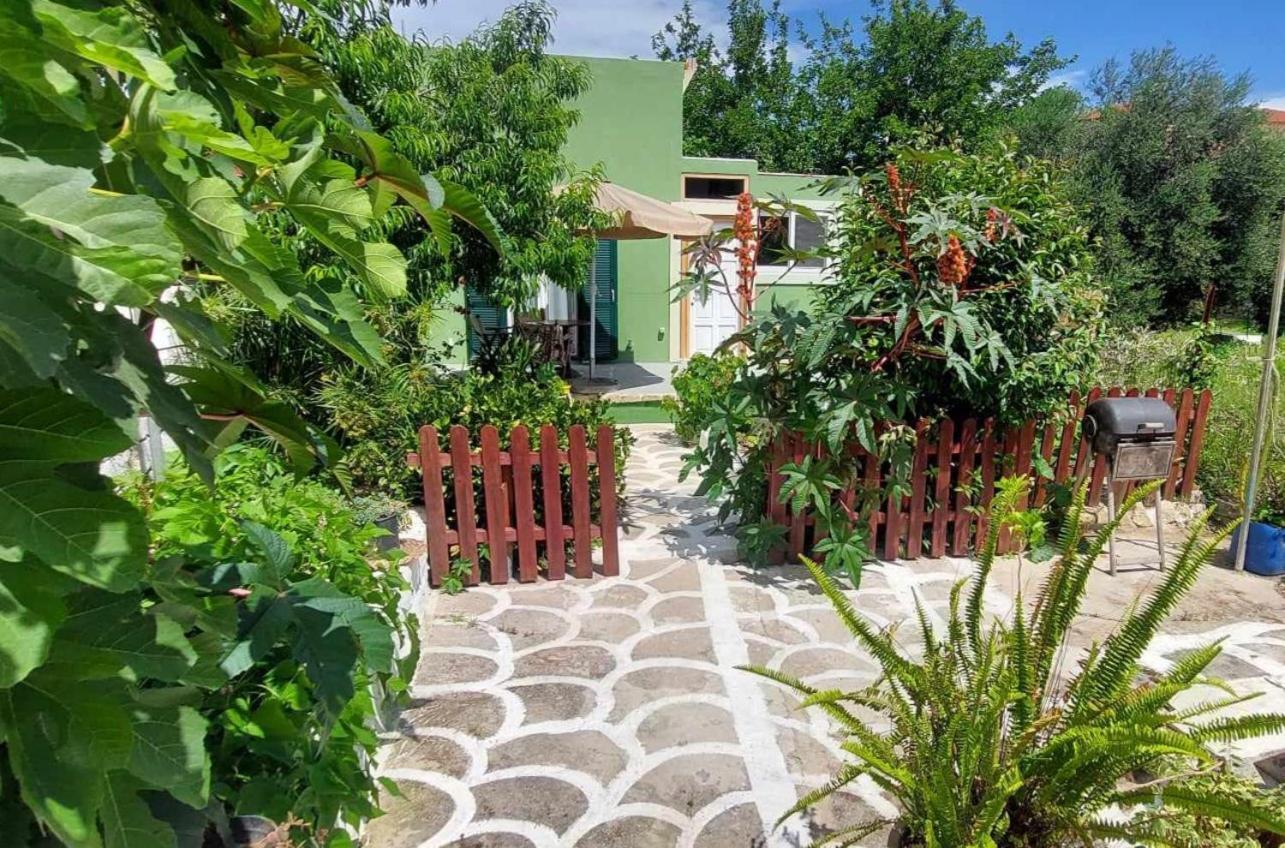 Afionas Das Gruene Haus المظهر الخارجي الصورة